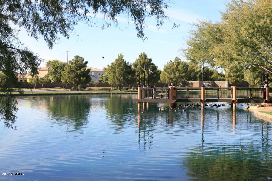 3779 E Ironhorse Rd, Gilbert, AZ 85297 photo 20