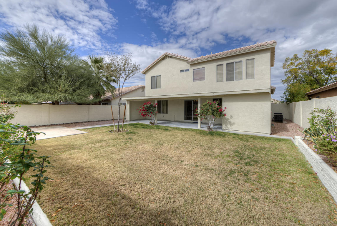2817 E Hononegh Dr, Phoenix, AZ 85050 photo 14
