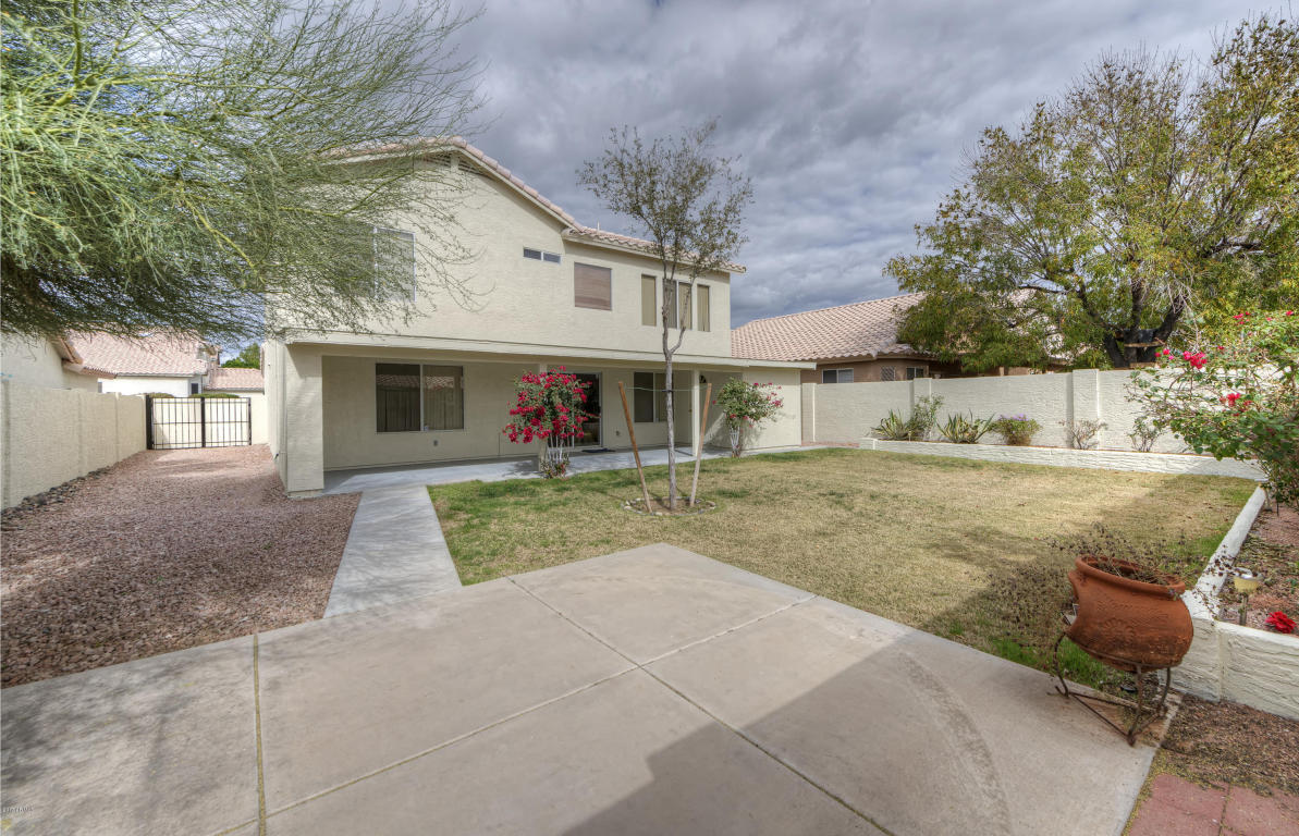 2817 E Hononegh Dr, Phoenix, AZ 85050 photo 15