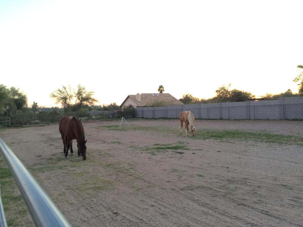 10555 Evergreen St, Mesa, AZ 85207 photo 26