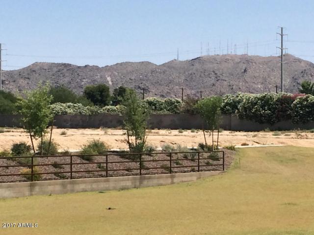 1747 W Minton St, Phoenix, AZ 85041 photo 20