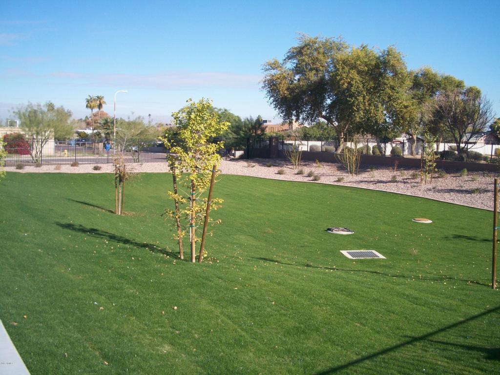 1747 W Minton St, Phoenix, AZ 85041 photo 15