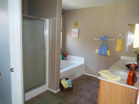 11251 E Downing St, Mesa, AZ 85207 photo 28
