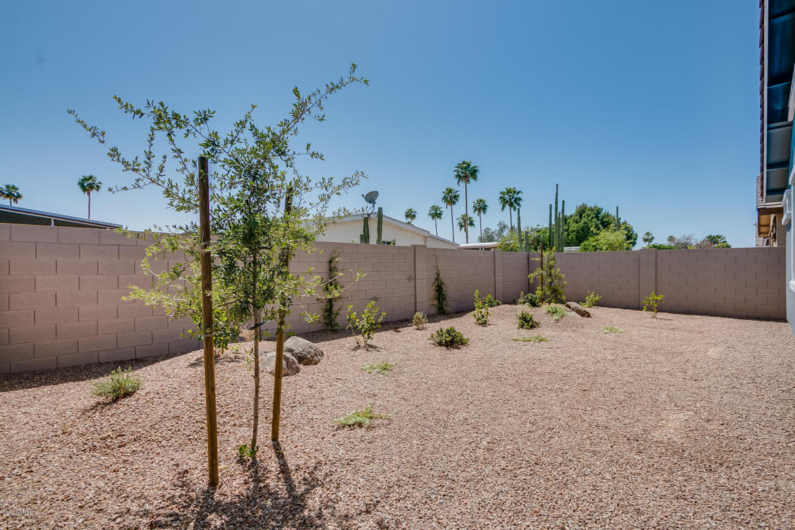 3711 E Aspen Ave, Mesa, AZ 85206 photo 38