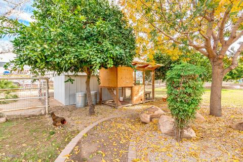 15445 E Appleby Rd, Gilbert, AZ 85298 photo 14