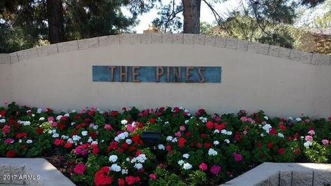 3905 E Carter Dr, Phoenix, AZ 85042 photo 24