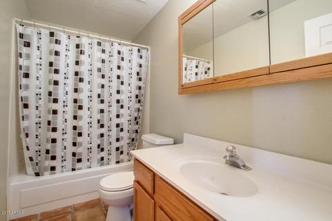 3715 E Palm St, Mesa, AZ 85215 photo 48