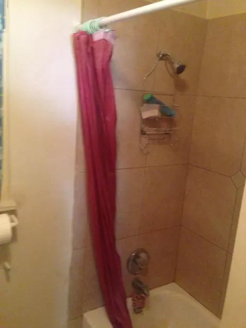 1229 E Mountain View Rd, Phoenix, AZ 85020 photo 7
