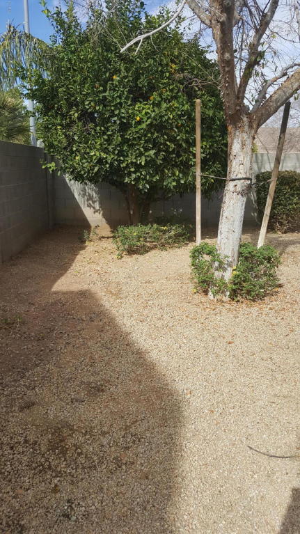 4652 E Hopi Ave, Mesa, AZ 85206 photo 21