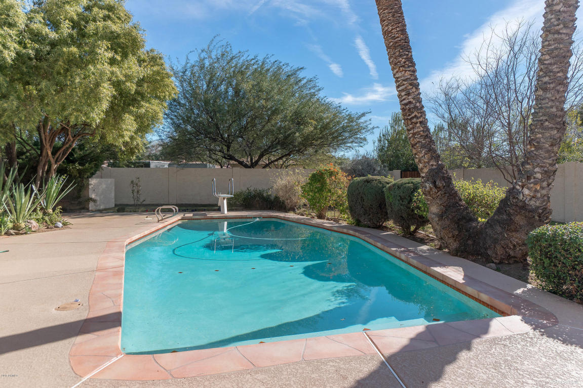 707 E Kaler Dr, Phoenix, AZ 85020 photo 22