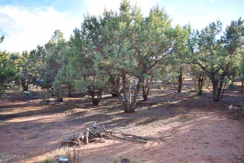 1703 W Riley Rd, Payson, AZ 85541 photo 43