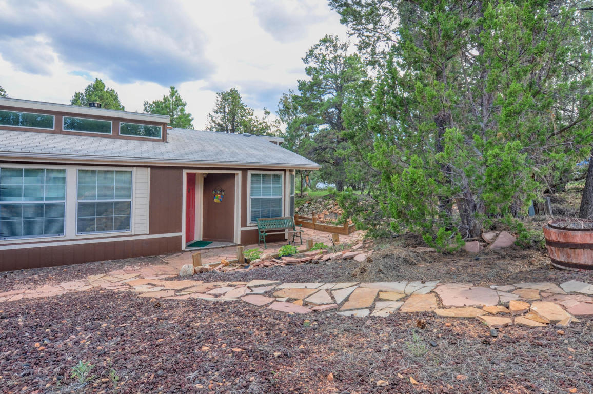 3009 Aspen Rd, Overgaard, AZ 85933 photo 1