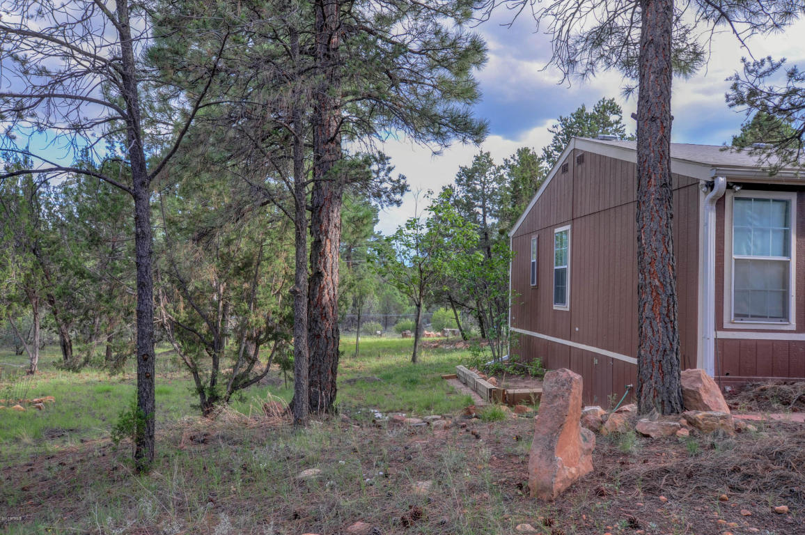 3009 Aspen Rd, Overgaard, AZ 85933 photo 2