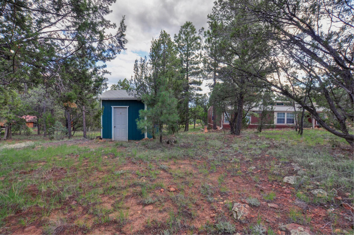 3009 Aspen Rd, Overgaard, AZ 85933 photo 23