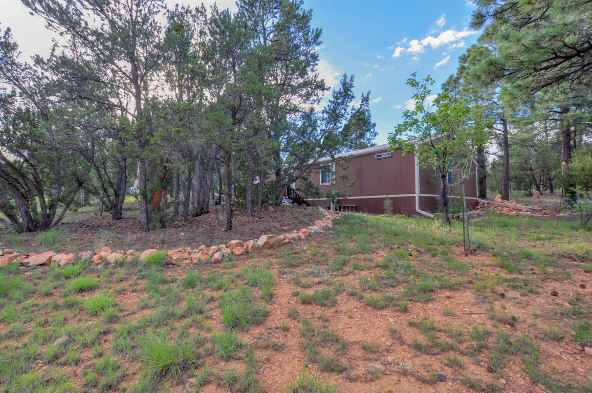 3009 Aspen Rd, Overgaard, AZ 85933 photo 5