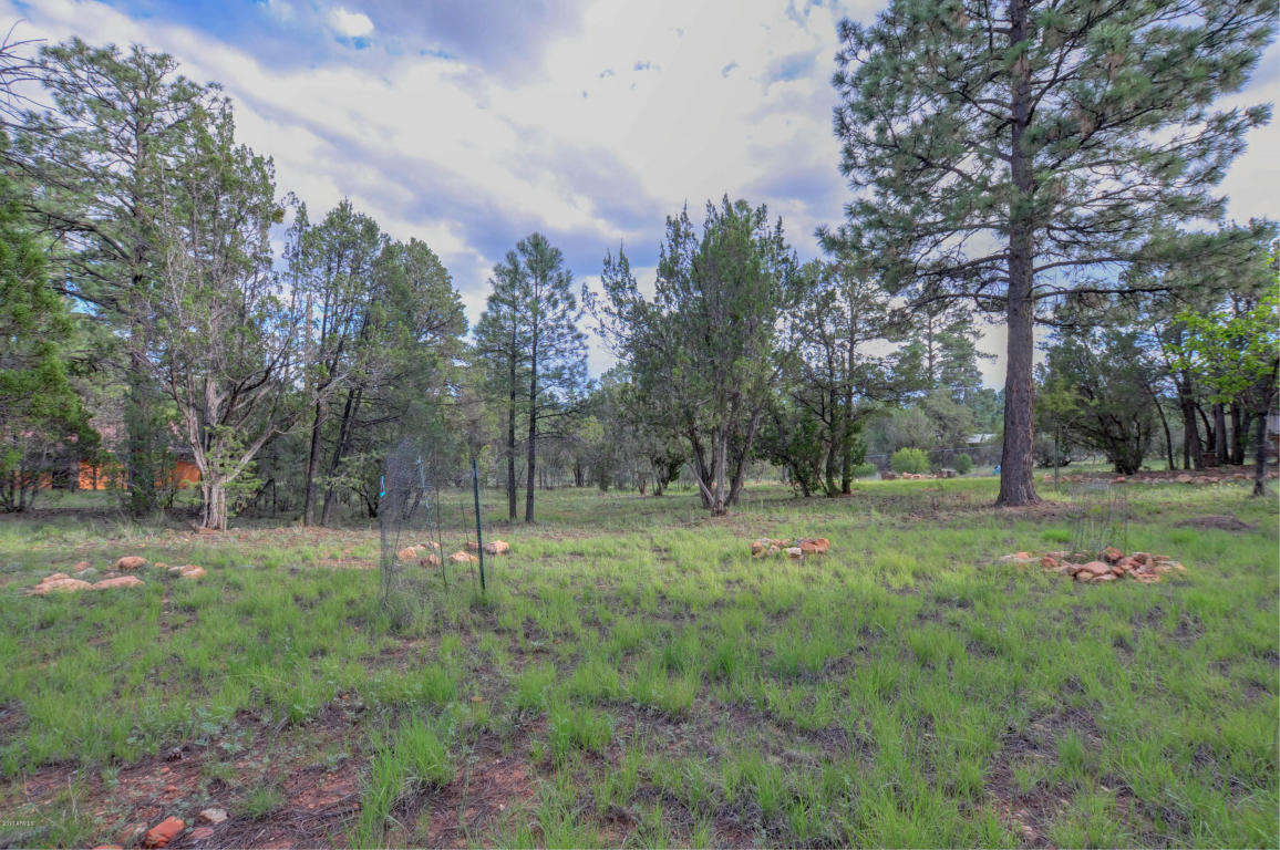 3009 Aspen Rd, Overgaard, AZ 85933 photo 4
