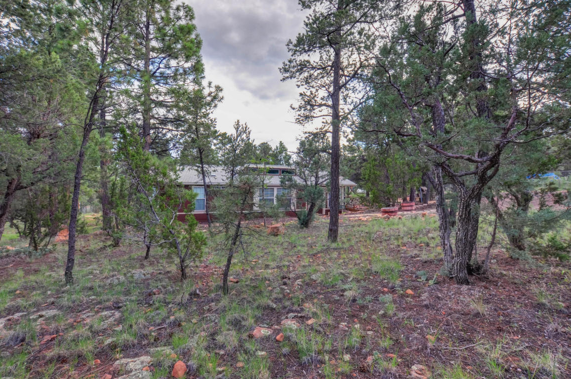 3009 Aspen Rd, Overgaard, AZ 85933 photo 22