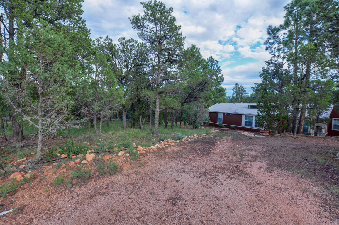 3009 Aspen Rd, Overgaard, AZ 85933 photo 24