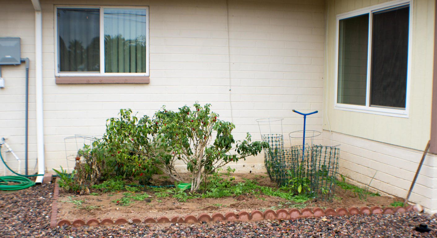 5302 E University Dr, Mesa, AZ 85205 photo 33