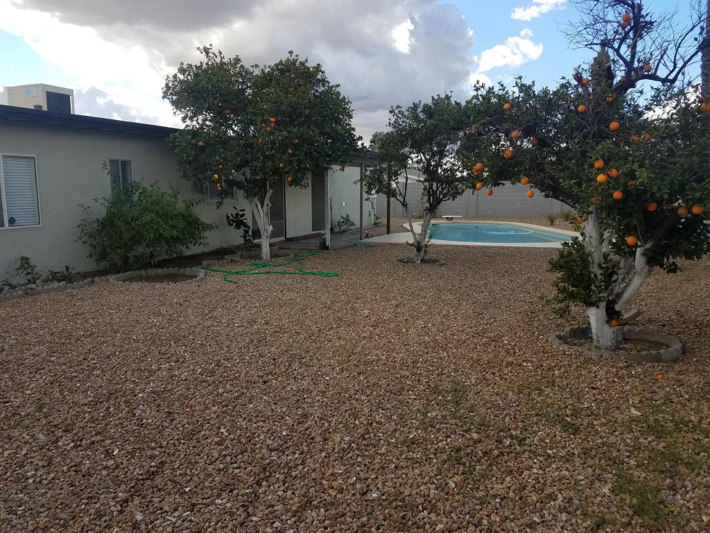 802 N 97th St, Mesa, AZ 85207 photo 6