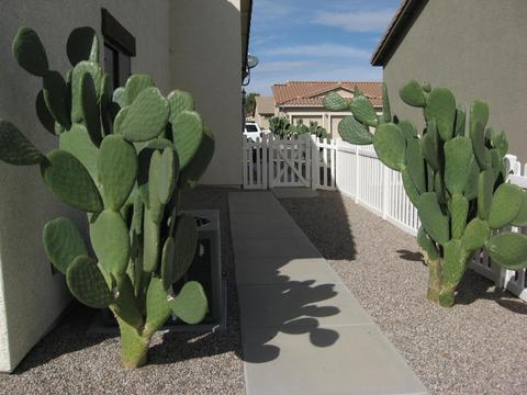 2101 S Meridian Rd #265, Apache Junction, AZ 85120 photo 32