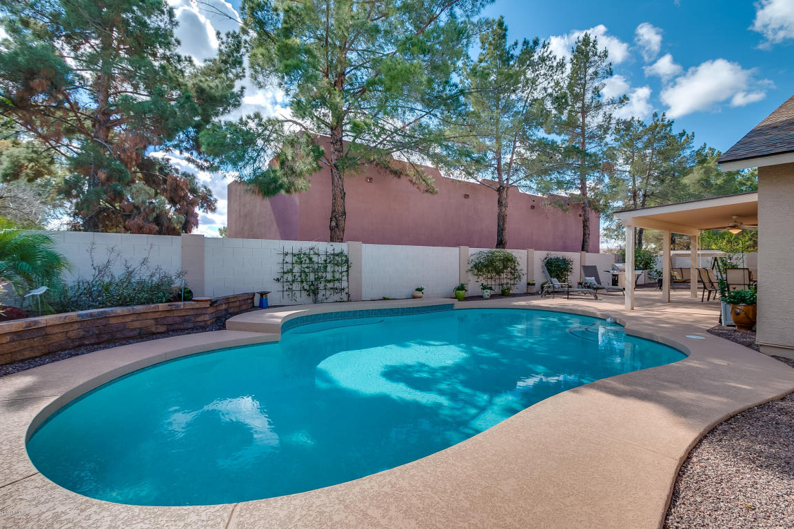 2855 E Laurel St, Mesa, AZ 85213 photo 46