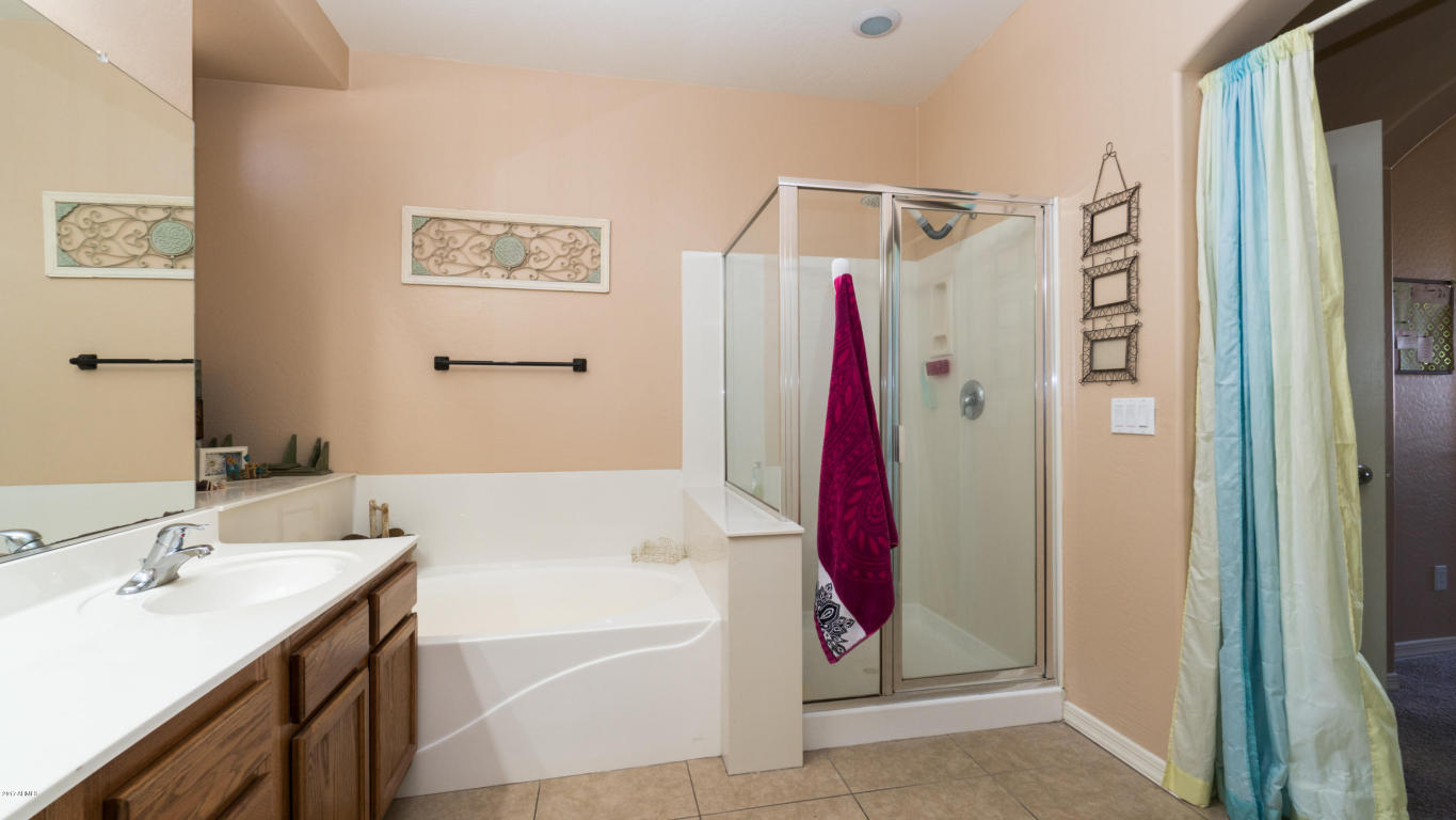 11050 E Cholla Rd, Mesa, AZ 85207 photo 9