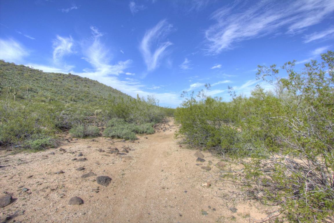 2319 E Parkside Ln, Phoenix, AZ 85024 photo 38