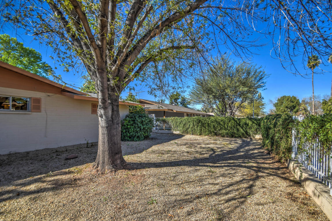 408 E Aepli Dr, Tempe, AZ 85282 photo 41