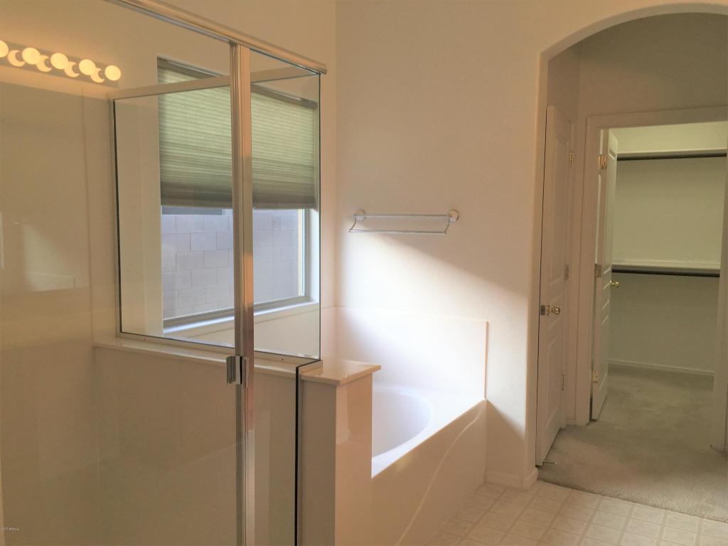 11551 E Starkey Ave, Mesa, AZ 85212 photo 9