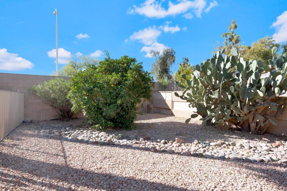 1851 E Pegasus Dr, Tempe, AZ 85283 photo 22
