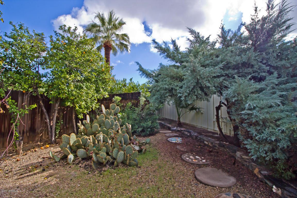 10002 N 28th Pl, Phoenix, AZ 85028 photo 23