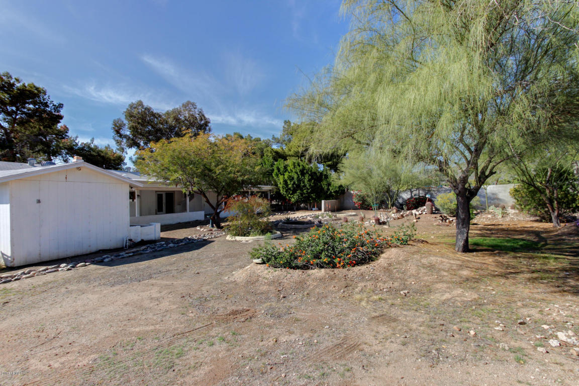 9811 N 7th Ave, Phoenix, AZ 85021 photo 22