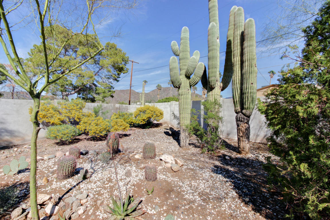 9811 N 7th Ave, Phoenix, AZ 85021 photo 24