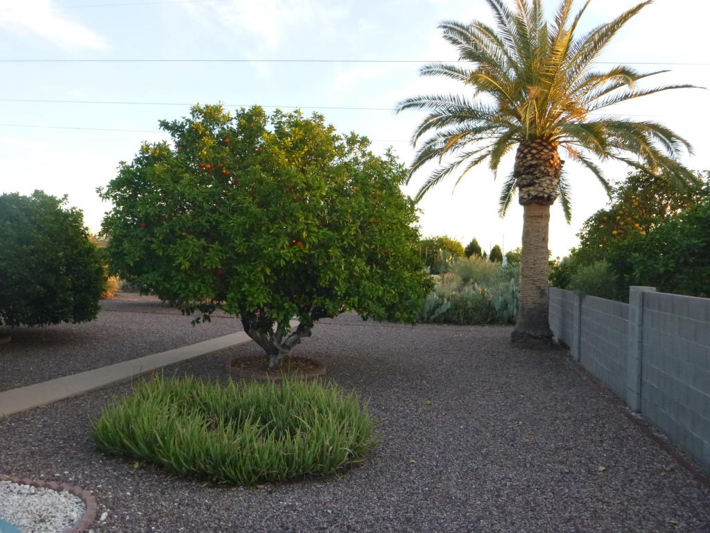 5729 E Decatur St, Mesa, AZ 85205 photo 2