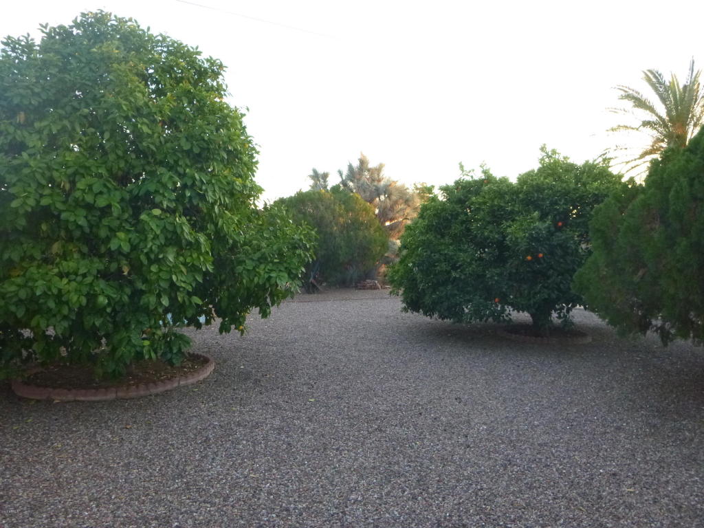 5729 E Decatur St, Mesa, AZ 85205 photo 3