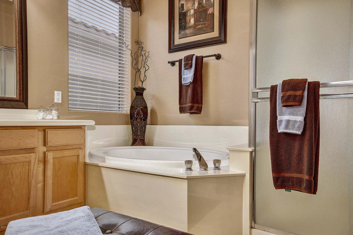 1555 E Stirrup Ct, Gilbert, AZ 85296 photo 37