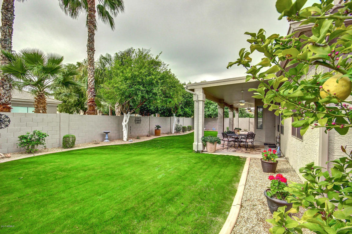 1555 E Stirrup Ct, Gilbert, AZ 85296 photo 42