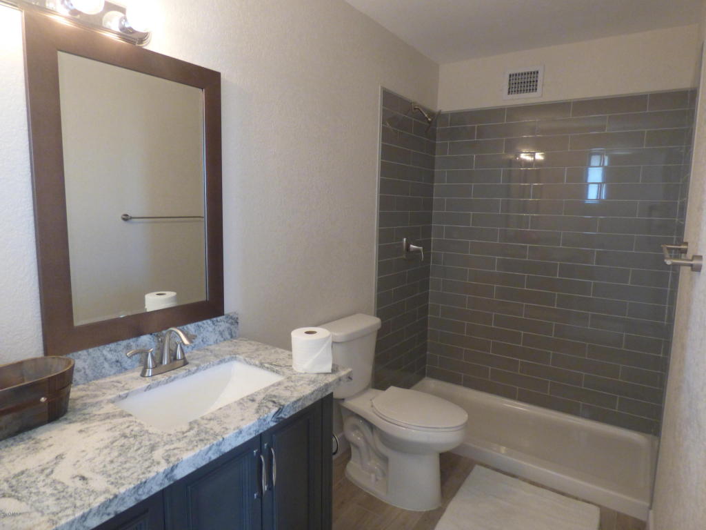481 S Olmo Cir, Apache Junction, AZ 85120 photo 8