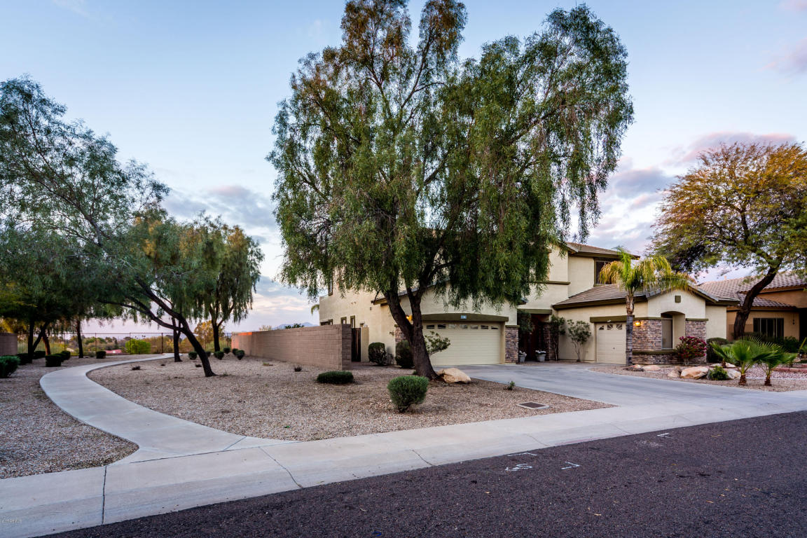 1146 E Kramer Cir, Mesa, AZ 85203 photo 2