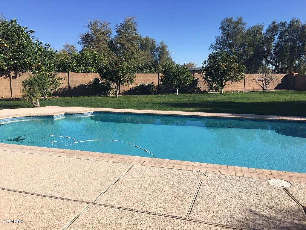 784 E Iris Ct, Gilbert, AZ 85296 photo 4