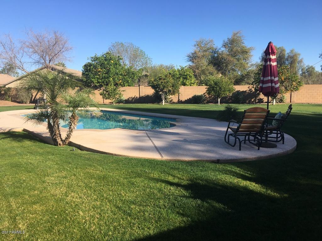 784 E Iris Ct, Gilbert, AZ 85296 photo 3