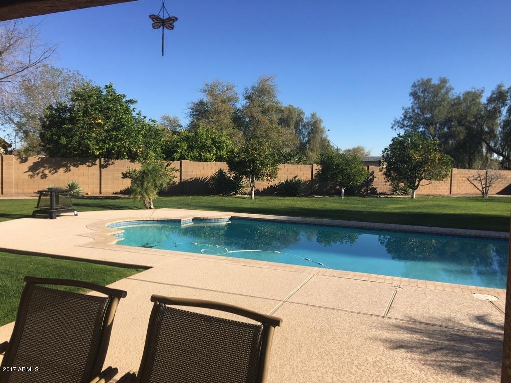784 E Iris Ct, Gilbert, AZ 85296 photo 19
