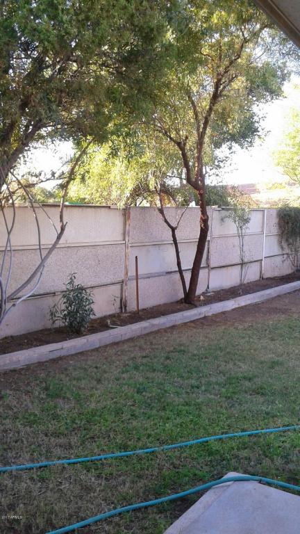 1862 E Watson Dr, Tempe, AZ 85283 photo 4