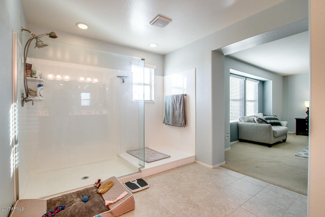 3340 E Riverdale St, Mesa, AZ 85213 photo 18