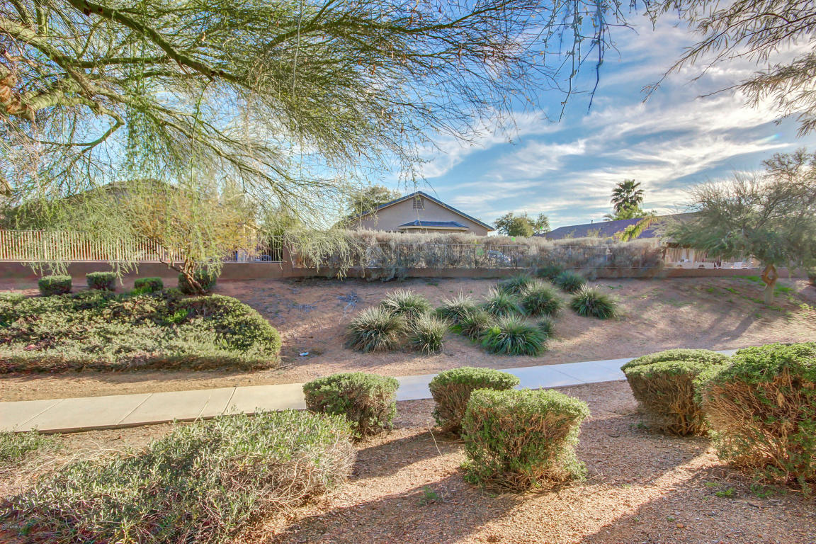 3553 E Joseph Way, Gilbert, AZ 85295 photo 30