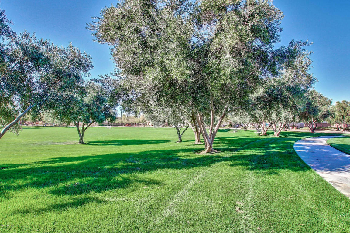 4343 E Reins Rd, Gilbert, AZ 85297 photo 37