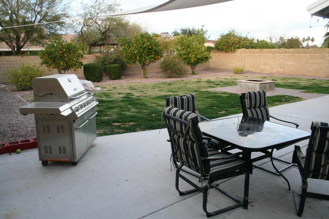 738 E Hillview St, Mesa, AZ 85203 photo 13