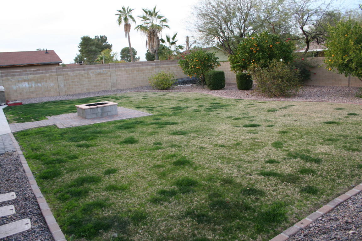 738 E Hillview St, Mesa, AZ 85203 photo 8