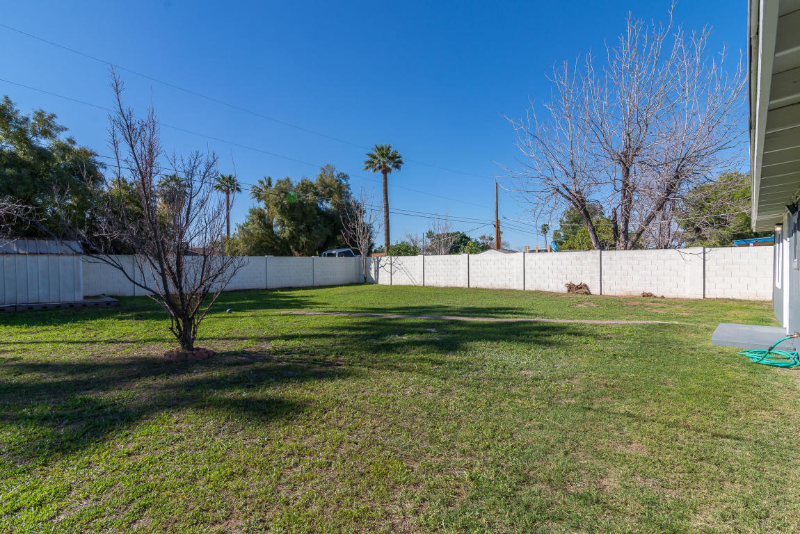 3301 E Windsor Ave, Phoenix, AZ 85008 photo 23